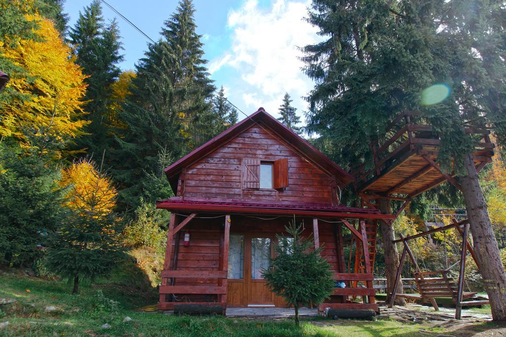 Mountain Apartments Superski Cavnic Pokoj fotografie